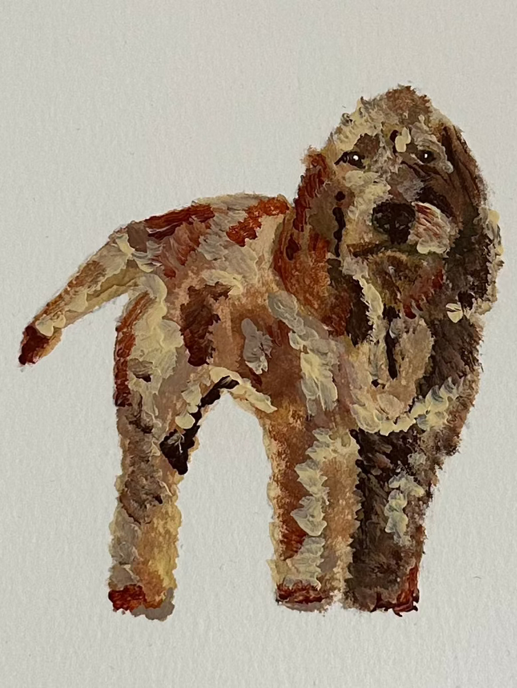 Basset Leonado de Gran Bretaña