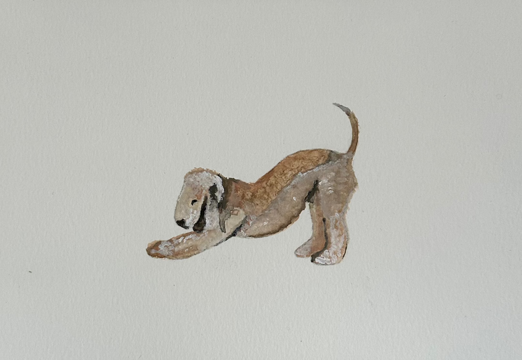 Bedlington Terrier