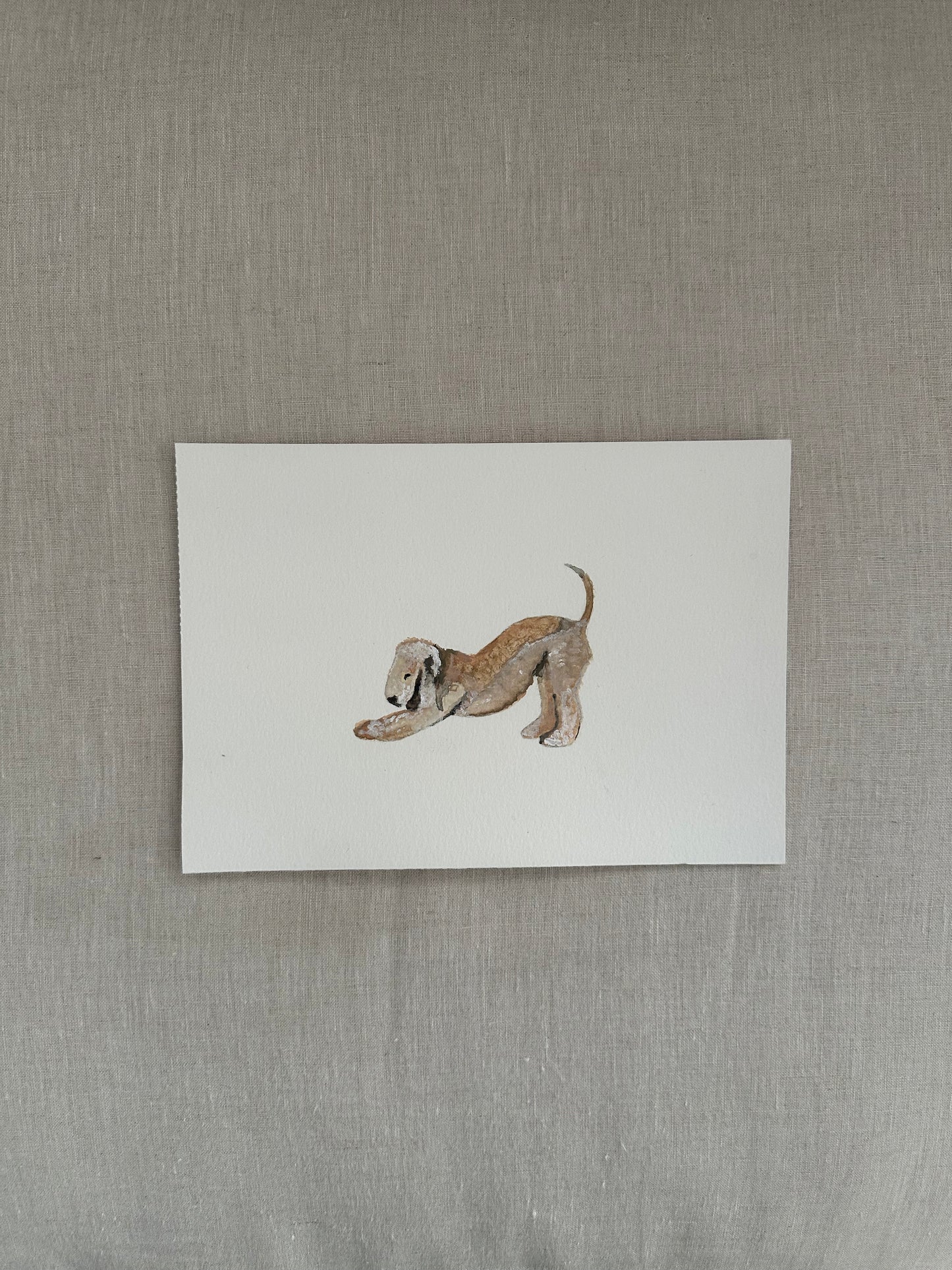 Bedlington Terrier Témpera A5