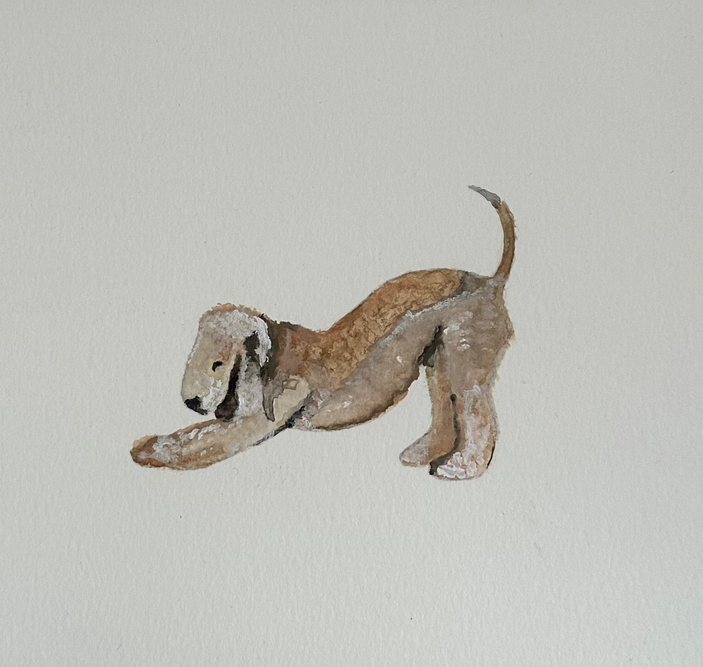 Bedlington Terrier Témpera A5