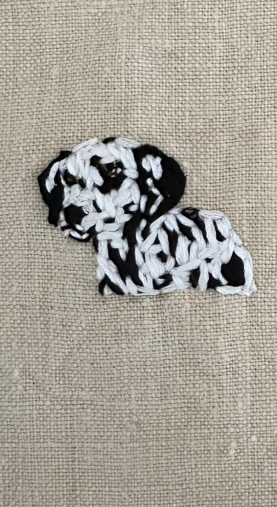 Hello, I'm a Dalmatian!