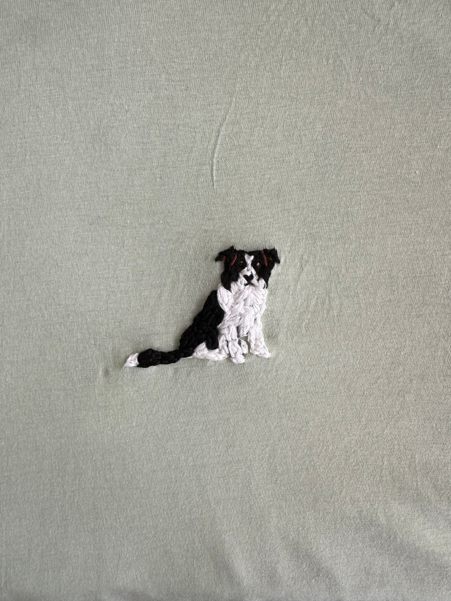 Camiseta unisex ice blue Border Collie
