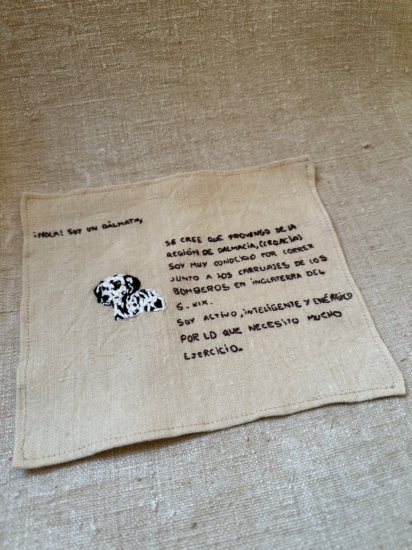 Hello, I'm a Dalmatian!